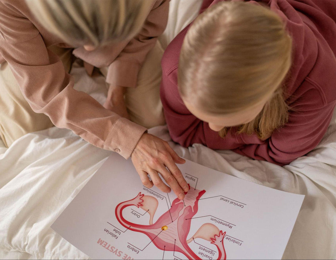 What Is the Luteal Phase? Symptoms, Hormones & What Happens Before Your Period